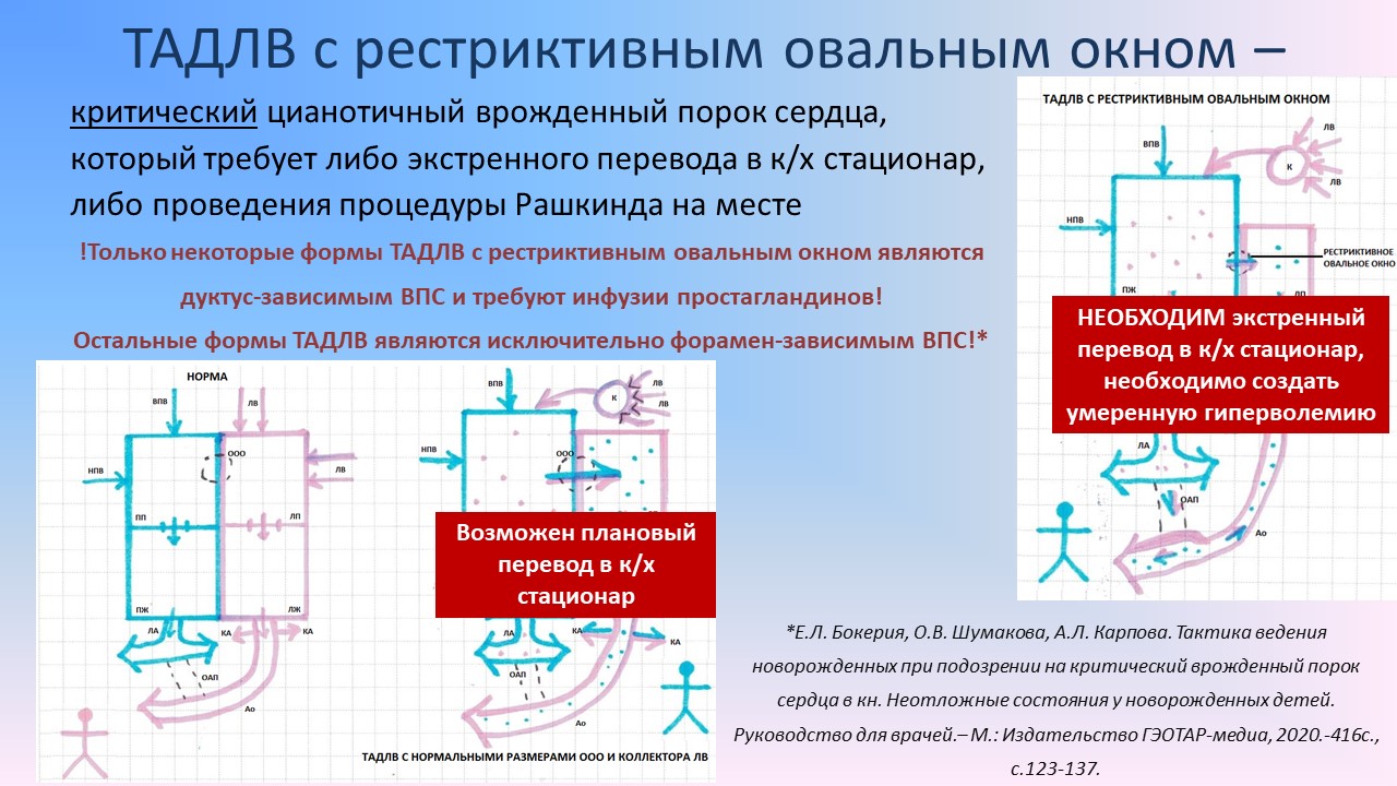 Тотальный аномальный дренаж легочных вен. Успеть за 9 часов. » Акушерство и  Гинекология